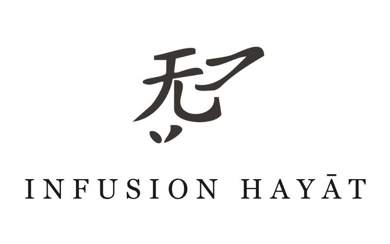 logo hayat